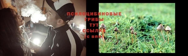 кокс Богородск