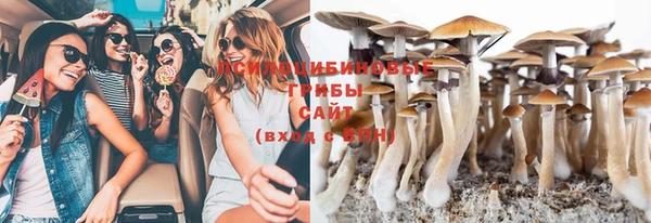 apvp Богданович