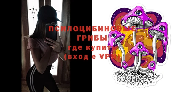 apvp Богданович