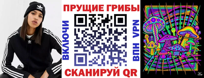 KRAKEN рабочий сайт  Дятьково  Псилоцибиновые грибы MAGIC MUSHROOMS 